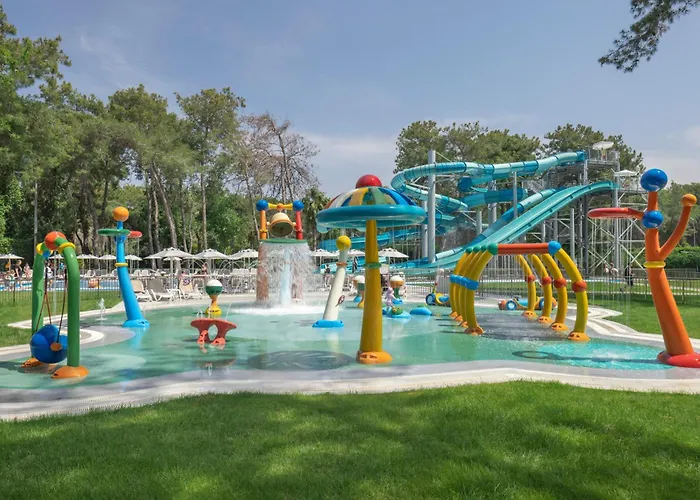 Arcanus Sorgun シダ