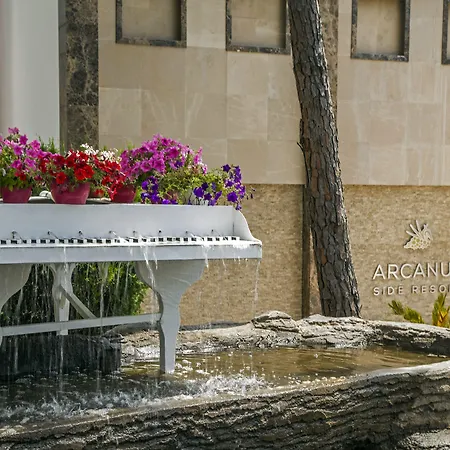 Arcanus Sorgun Σιντέ