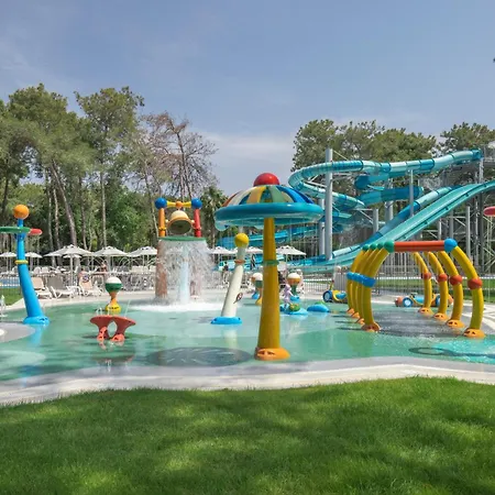 Arcanus Sorgun Σιντέ