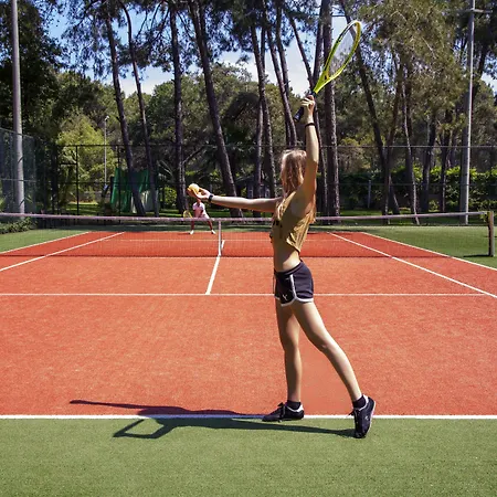 Arcanus Sorgun 시데